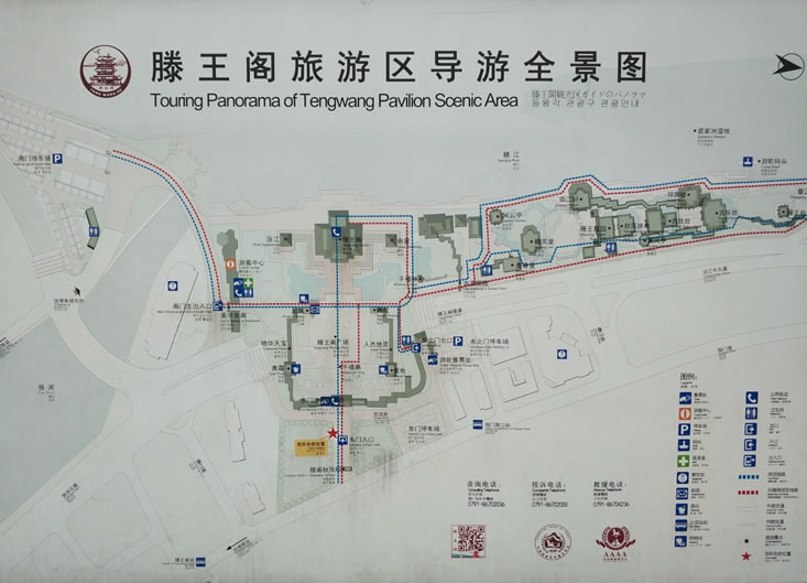 �����w���ΈD